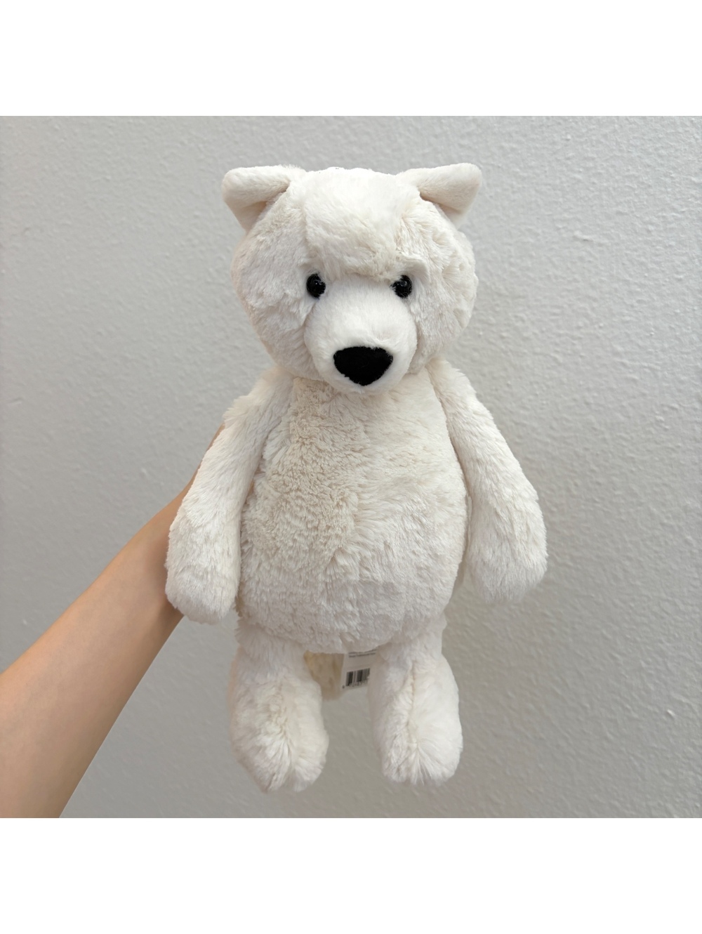 Jellycat Bashful Arctic Fox BNWT